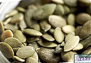 Pumpkin Seed Oil - oils-and-fats