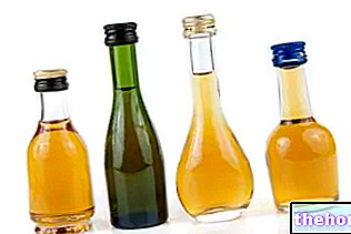 Various Seed Oil - oils-and-fats