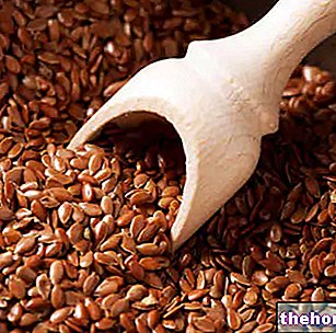 Seeds and Linseed Oil: Nutritional Properties - oils-and-fats