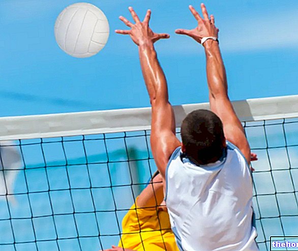 Wall in Volleyball: What It Is and How It Is Performed - volleyball