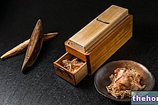 Katsuobushi: Nutričné ​​vlastnosti a kuchyňa - ryby