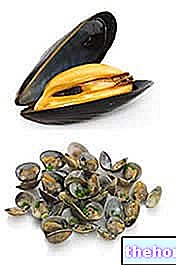 Молюски - харчові властивості - риба