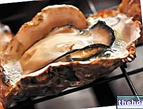 Austrid - kala