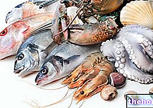 मछली और मत्स्य उत्पाद - मछली