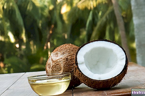 Minyak kelapa untuk wajah dan rambut: mana yang hendak dibeli? - produk kecantikan