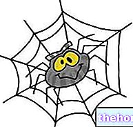 Araknofobia: hämähäkkien pelko - psykologia