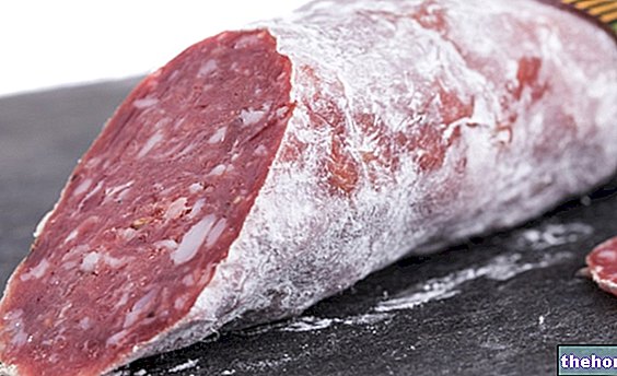 Salami Felino - viande séchée