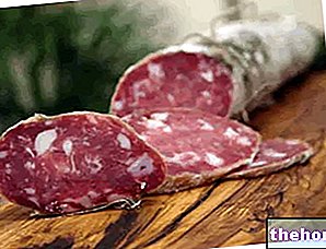 Salami - viande séchée