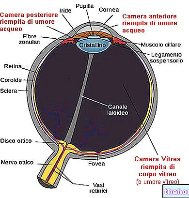 Pression intraocculaire - santé oculaire