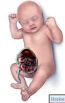 ओमफ़लसील - भ्रूण-स्वास्थ्य
