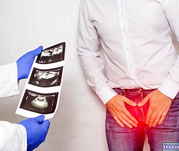 Suprapubični ultrazvuk prostate: kako se izvodi? - zdravlje prostate