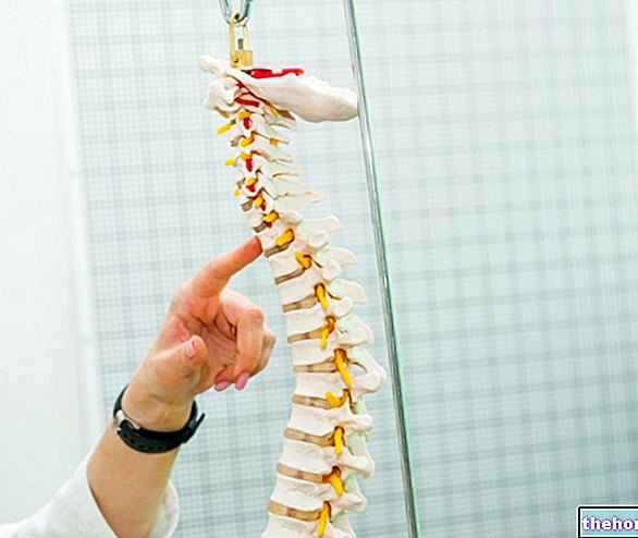 Gangguan pada Spinal Column - kesihatan tulang