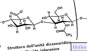 Suppléments d'acide hyaluronique - os-santé