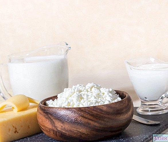 Мляко, млечни продукти и остеопороза - здраве на костите