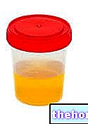 Urine - santé des voies urinaires