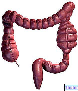 Blokada crijeva - zdravlje crijeva