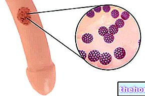 Spots on the Penis - human-health