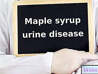 kesihatan - Penyakit Urin Maple Syrup