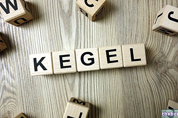 Exercices de Kegel pour hommes : qu'est-ce qu'ils sont, comment les faire - sexualité