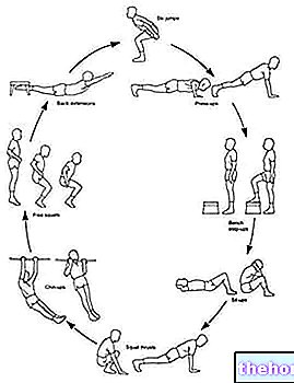 Circuit Training (AC) ou Circuit Training (CT) - Types - formation-techniques