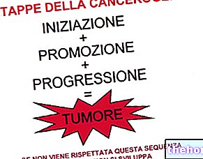 Καρκινογένεση - τοξικότητα και τοξικολογία