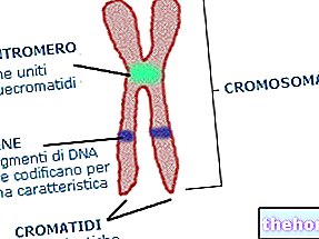 Kromosoomid ja kromosomaalsed mutatsioonid - toksilisus ja toksikoloogia
