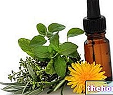 Phytotherapy: the risks of the natural - toxicity-and-toxicology