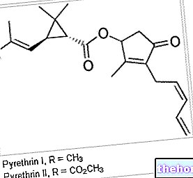 Pyrèthre : toxicité du pyrèthre et dérivés - toxicité-et-toxicologie