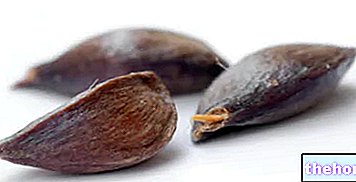 Apple seeds - toxicity-and-toxicology