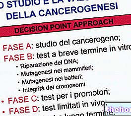 Undersøgelse og evaluering af carcinogenese - toksicitet og toksikologi