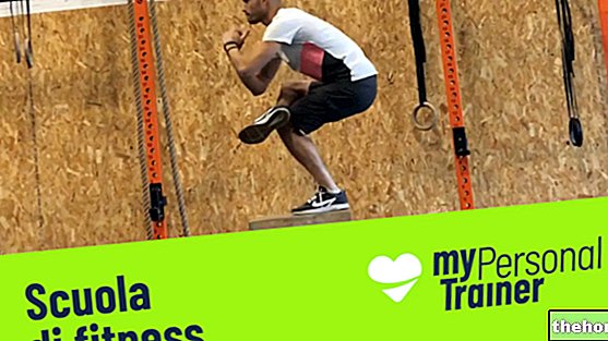 Zadnjica: 4 vježbe s Plyo Boxom - fitness-tutorial