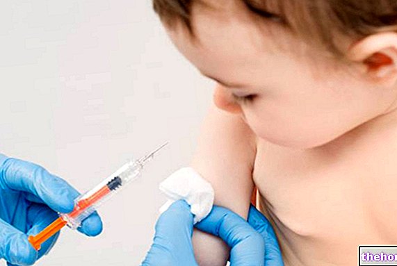 Anti-meningokockvaccin - vaccination
