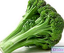 Brócoli - verduras