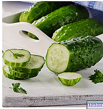 Cucumber - vegetables