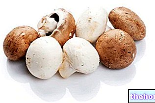 샴피뇽 버섯: 영양 성분 및 요리 - 채소