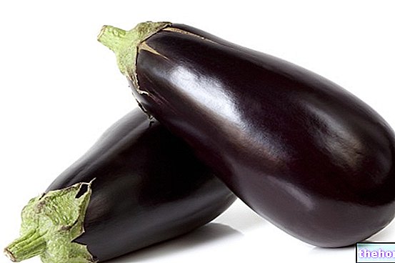 Eggplant in Brief, Summary on Eggplant - vegetables