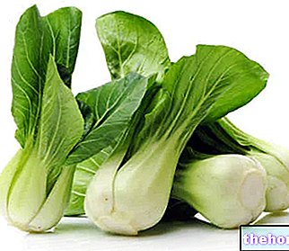 Pak Choi - kinakål - grønnsaker