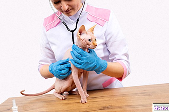 veterinarski
