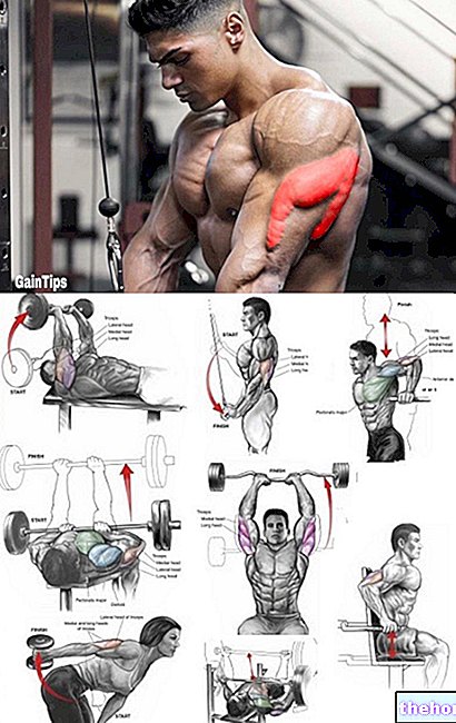 Triceps Sodi - ubijalska vadba - stopnja 1 Zelo enostavno